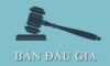 Quyền quyết định được đem tài sản chung đi đấu giá?
