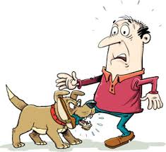 Bồi thường thiệt hại do súc vật gây ra?