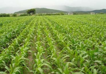 Đất nông nghiệp sử dụng vào mục đích công ích?