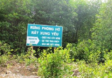 Quản lý đất rừng phòng hộ?